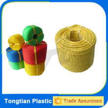 China custom wholesale color braided 10 mm high tenacity pp rope